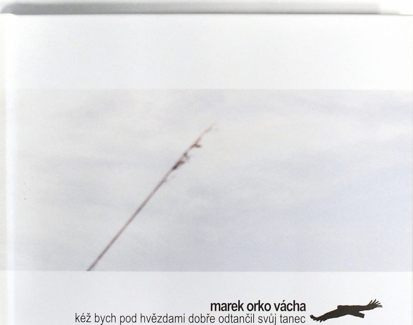 Obálka knihy Kéž bych pod hvězdami dobře odtančil svůj tanec