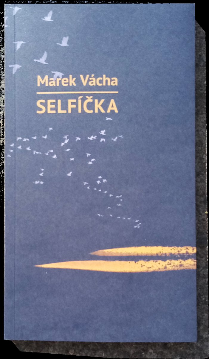 Obálka knihy Selfíčka