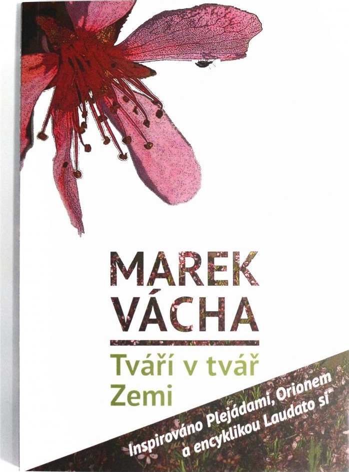 Obálka knihy Tváří v tvář Zemi